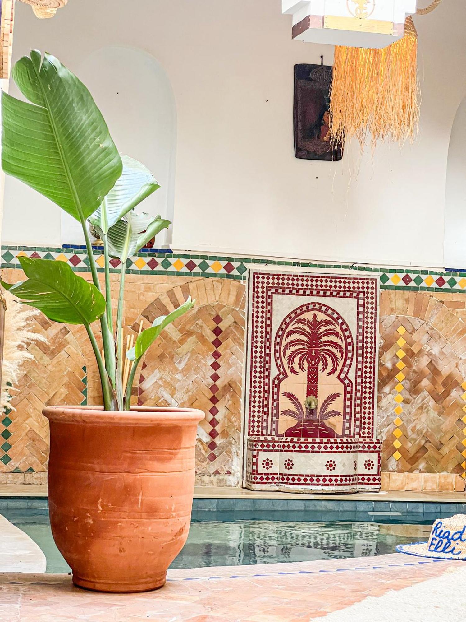 Riad Elli Marrakech مراكش المظهر الخارجي الصورة